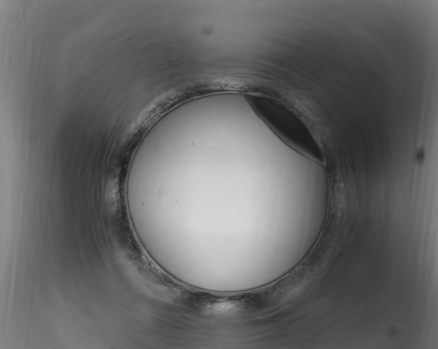 X0000116260312200911300959