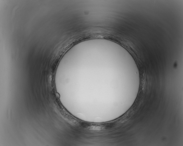 X0000116260314200911300959