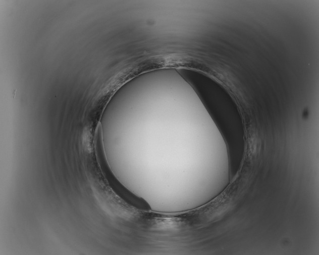 X0000116260316200911300959