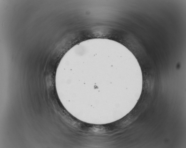 X0000116260317200911300959