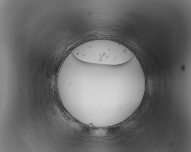 X0000116260318200911300959