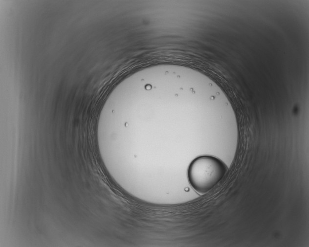X0000116260327200911300959
