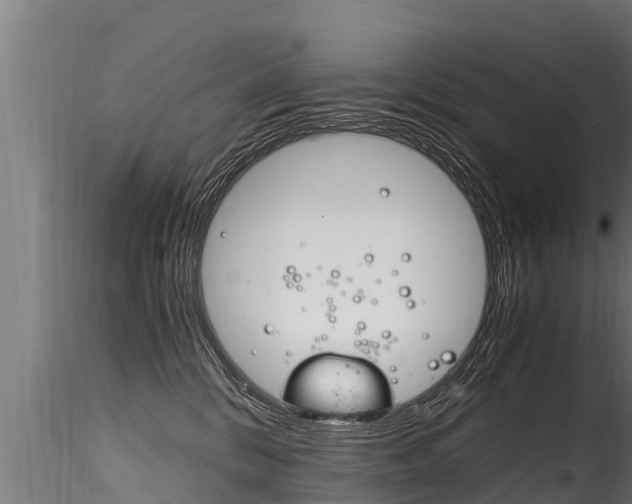 X0000116260328200911300959