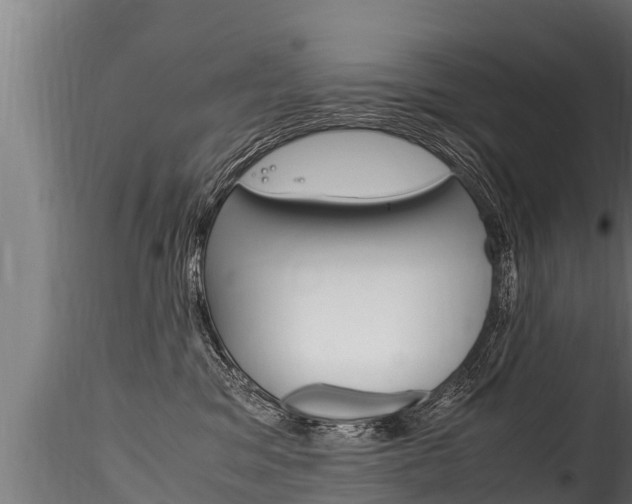 X0000116260329200911300959
