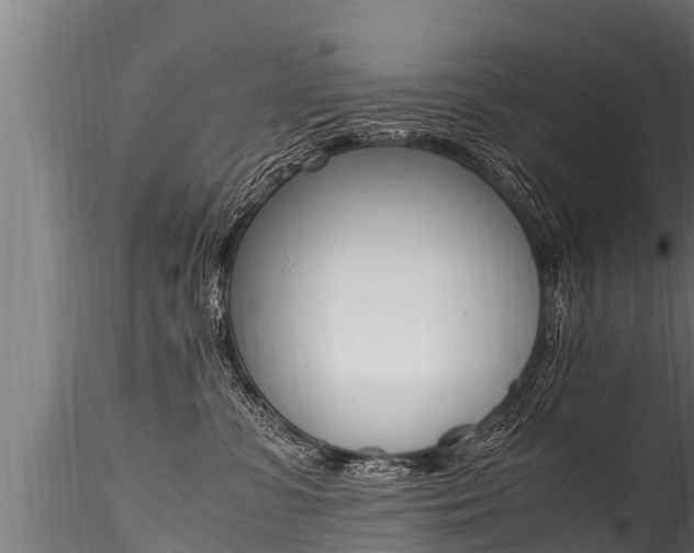 X0000116260331200911300959