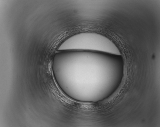 X0000116260336200911300959