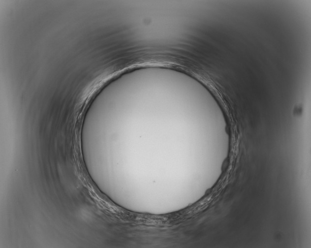X0000116260337200911300958