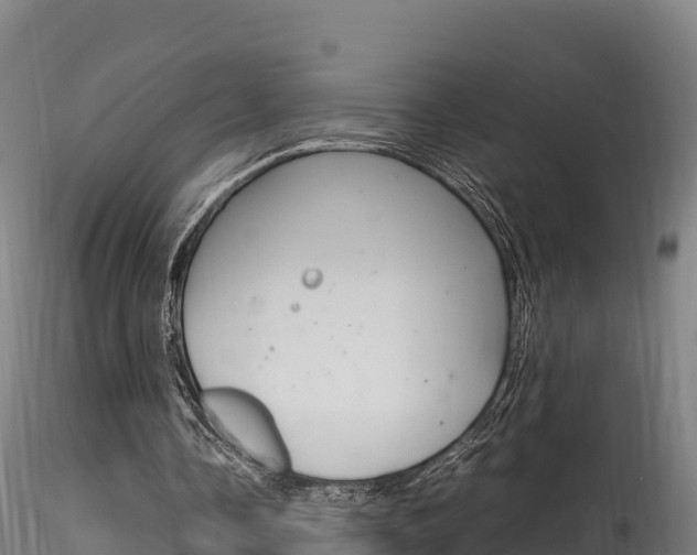 X0000116260338200911300958