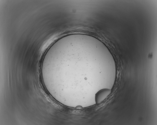 X0000116260341200911300958