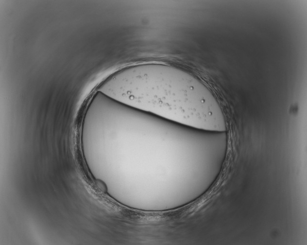 X0000116260342200911300958