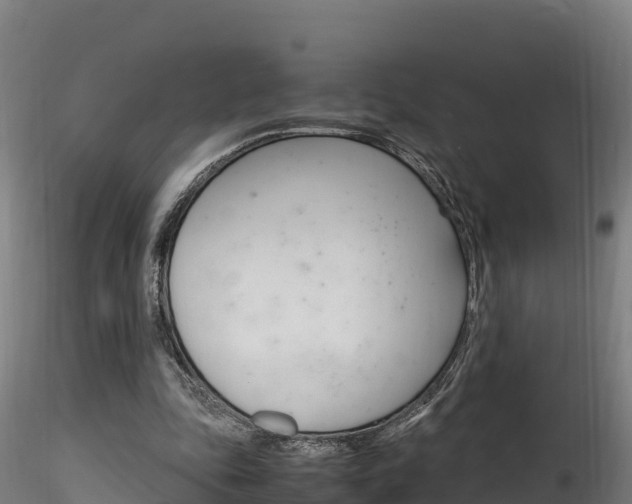 X0000116260343200911300958