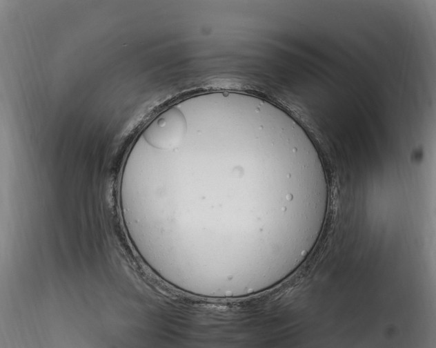 X0000116260347200911300958