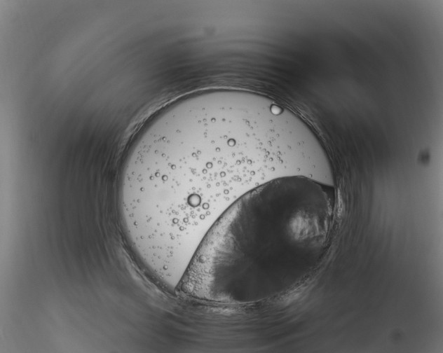X0000116260349200911300958