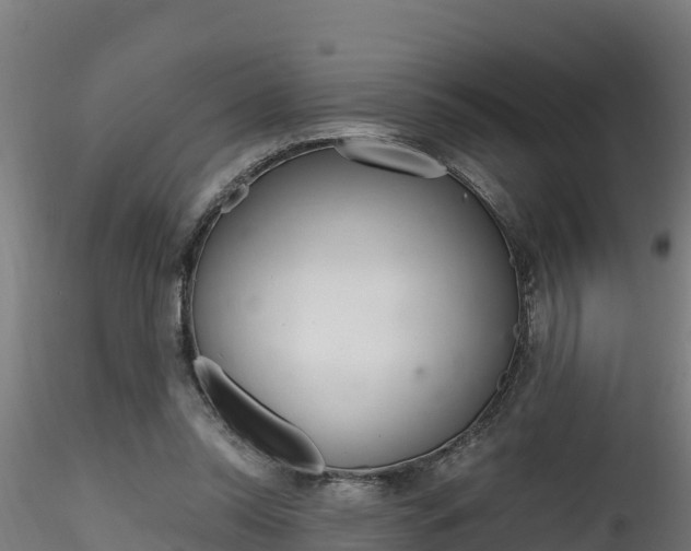 X0000116260350200911300958