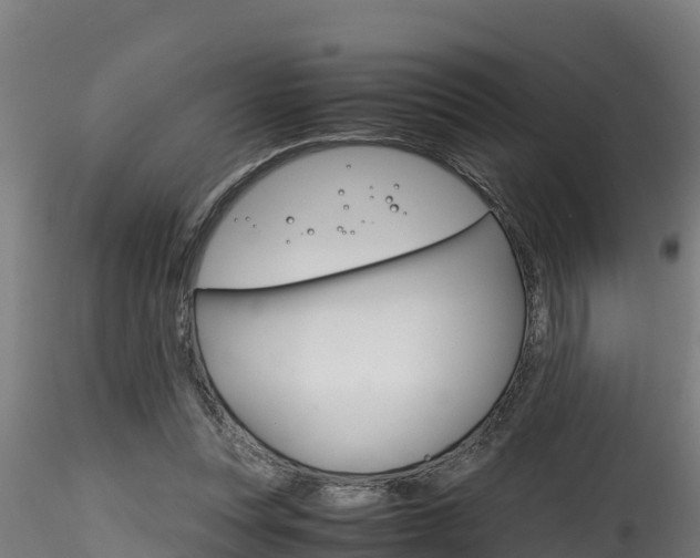 X0000116260351200911300958