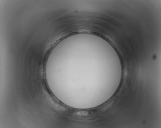 X0000116260353200911300958
