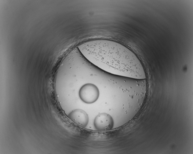 X0000116260354200911300958