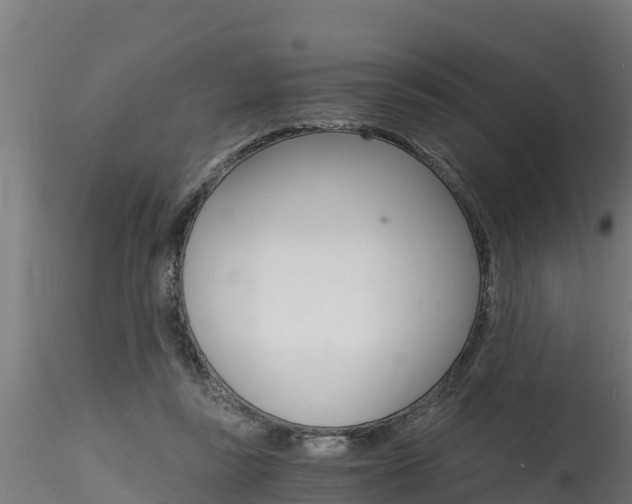 X0000116260355200911300958