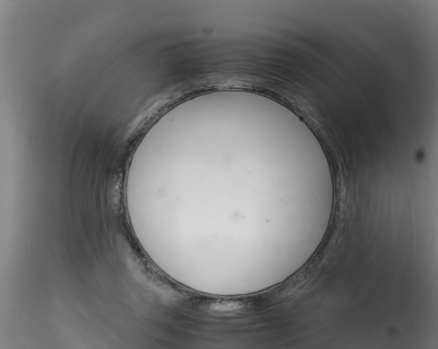 X0000116260357200911300958