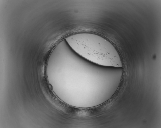 X0000116260358200911300958