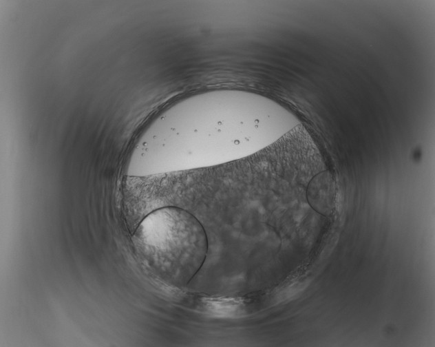X0000116260359200911300958