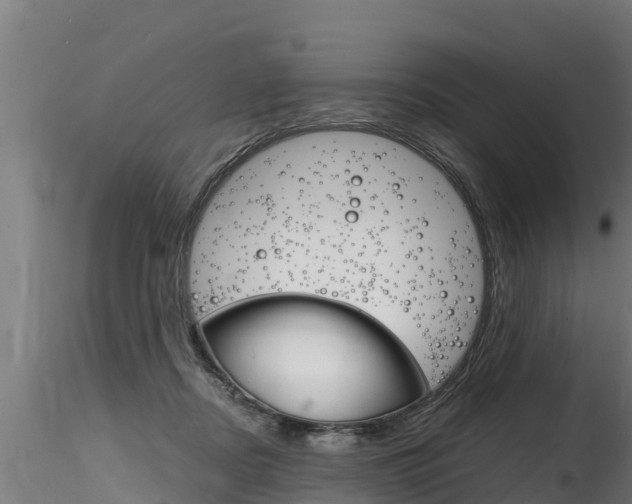 X0000116260362200911300958