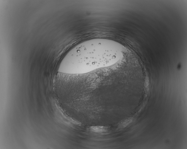 X0000116260367200911300958