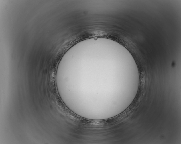 X0000116260369200911300958