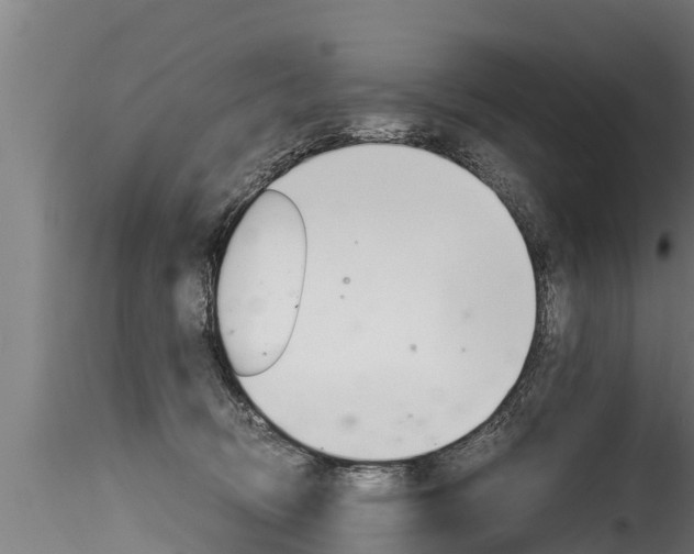 X0000116260370200911300958