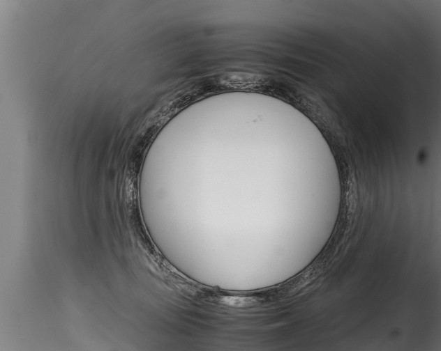 X0000116260371200911300958
