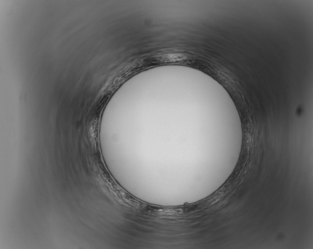 X0000116260373200911300958