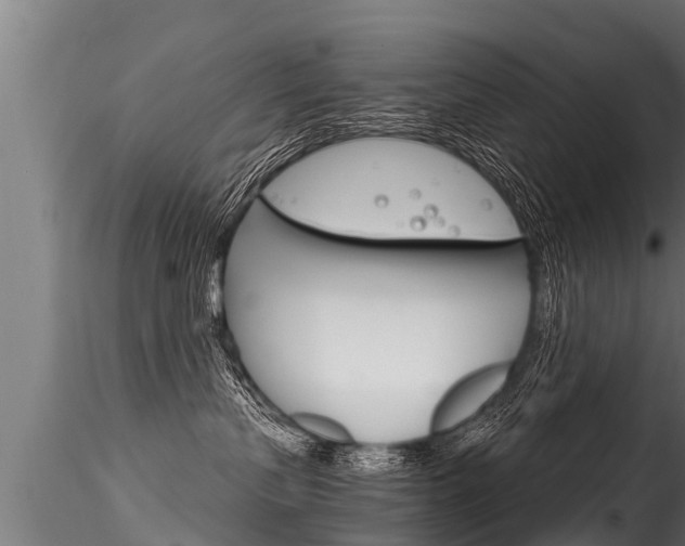 X0000116260383200911300959