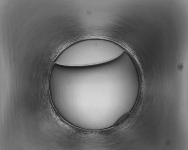 X0000116260385200911300958