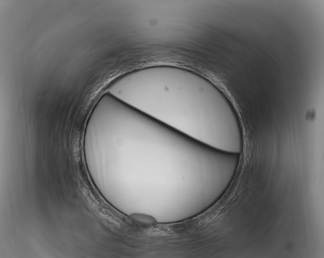 X0000116260386200911300958
