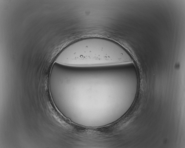 X0000116260393200911300958