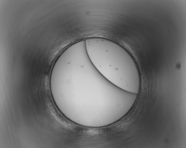 X0000116260394200911300958