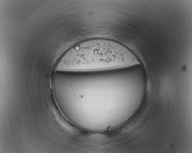 X0000116260397200911300958
