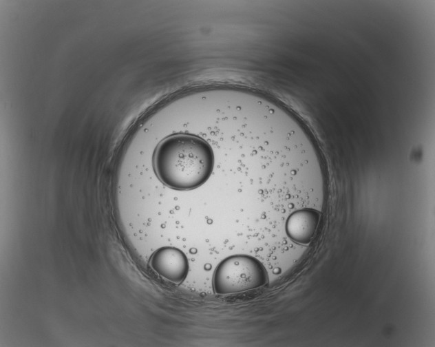 X0000116260399200911300958