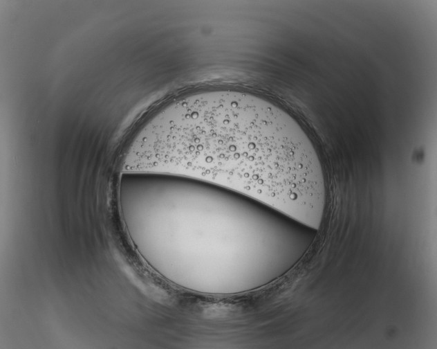 X0000116260400200911300958