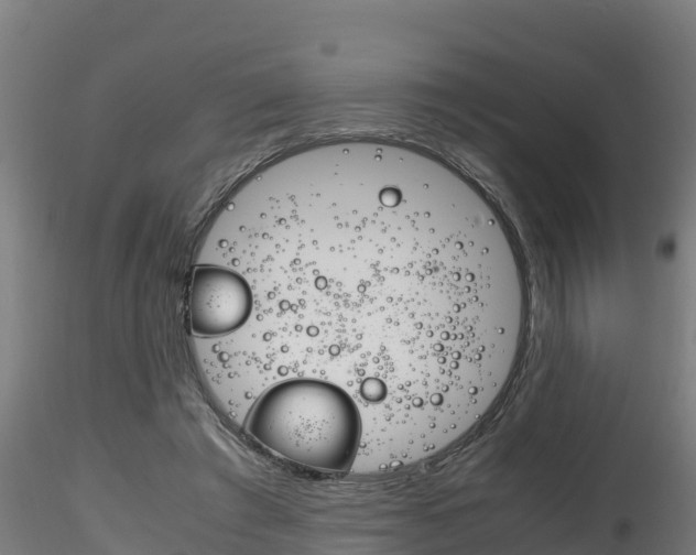 X0000116260401200911300958