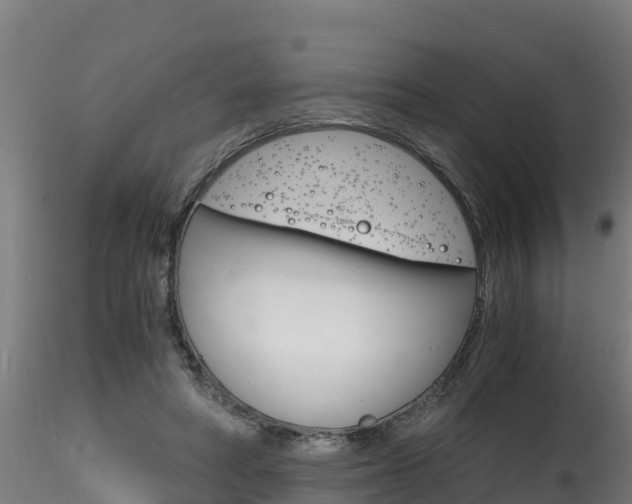 X0000116260402200911300958