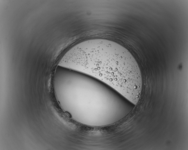 X0000116260404200911300958