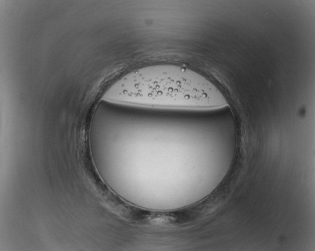 X0000116260407200911300958
