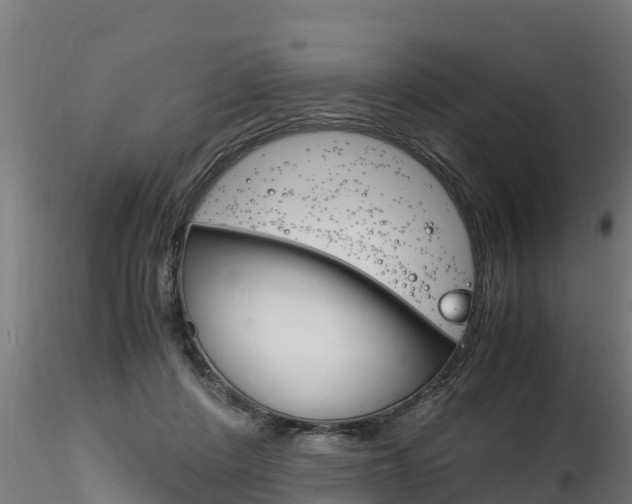 X0000116260408200911300958