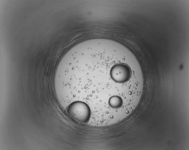 X0000116260409200911300958
