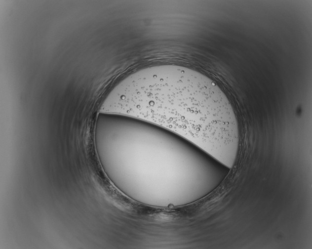 X0000116260412200911300958