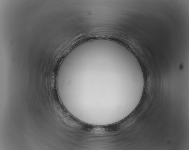 X0000116260413200911300958