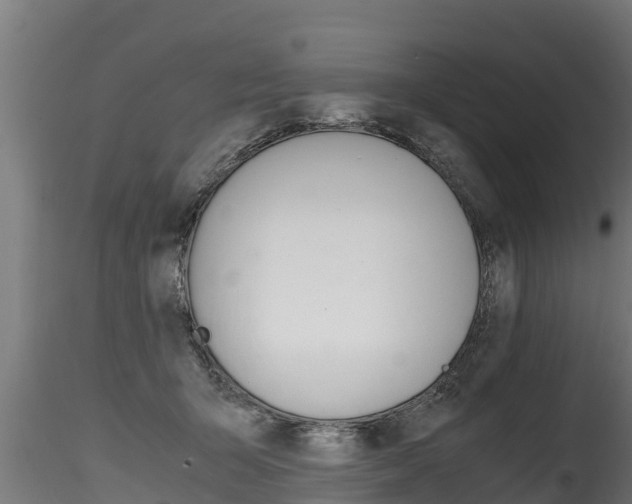 X0000116260415200911300957