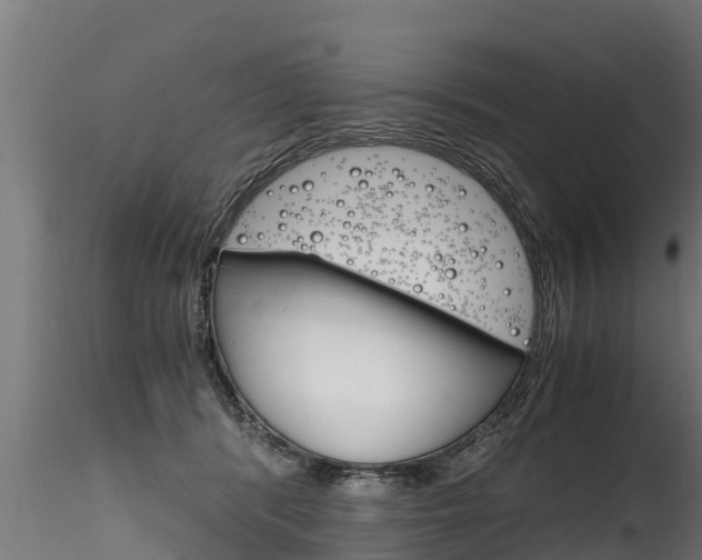 X0000116260416200911300957