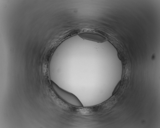 X0000116260417200911300957